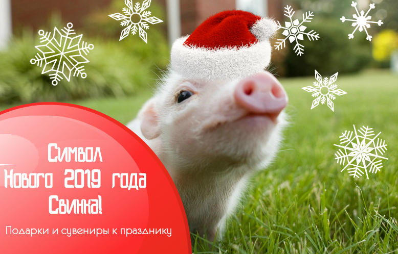 Символ Нового 2019 года Свинка!